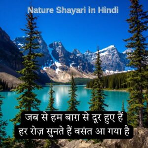 Beautiful Nature Shayari in Hindi